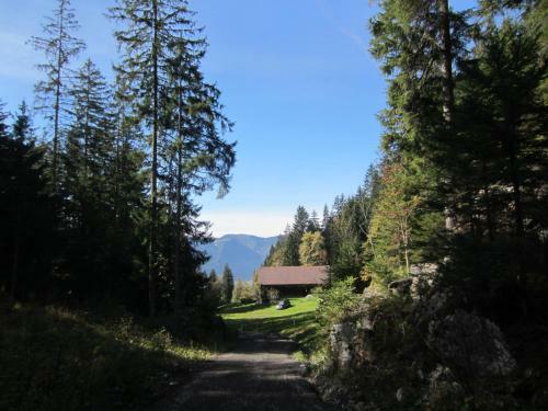 Apartamento K�ferhof