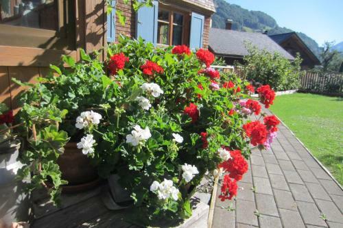 Apartamento K�ferhof