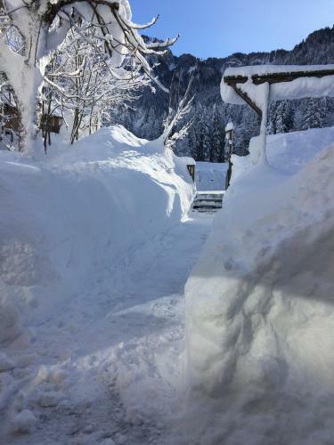 Apartamento K�ferhof