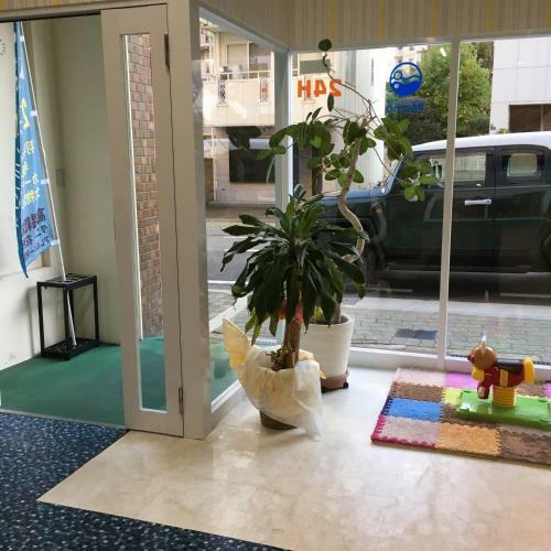 Apartamento Sora