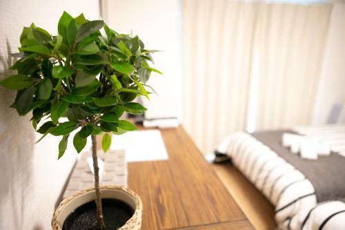 Apartamentos Hotel Lespedeza Osaka