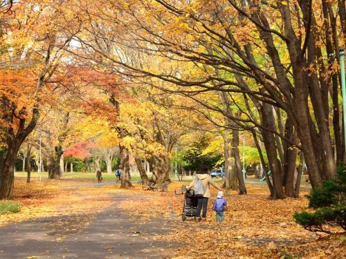 Hotel Lestel Maru Sapporo Maruyama - Vacation Stay 15371v