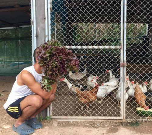 Homeandhomestay Chiang Kham