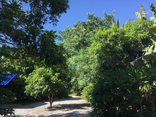 Homeandhomestay Chiang Kham