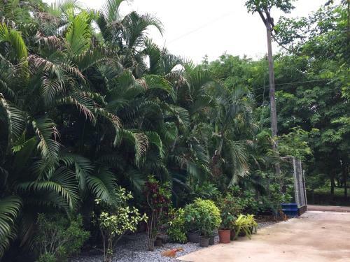 Homeandhomestay Chiang Kham