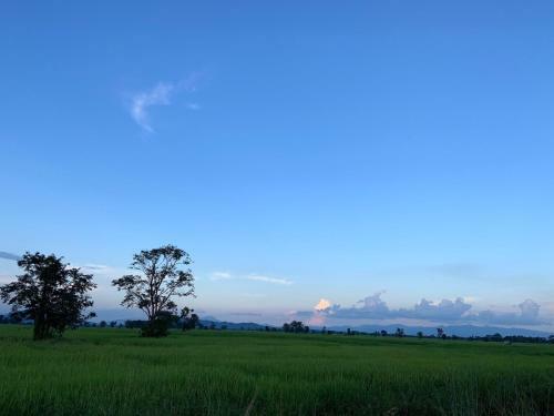 Homeandhomestay Chiang Kham