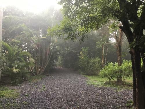Homeandhomestay Chiang Kham