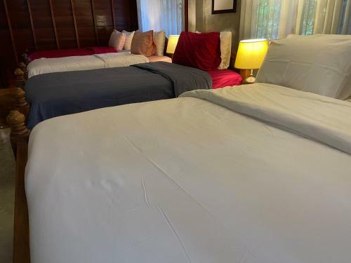 Homeandhomestay Chiang Kham