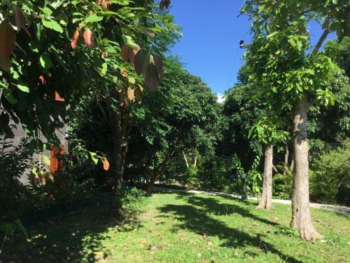 Homeandhomestay Chiang Kham