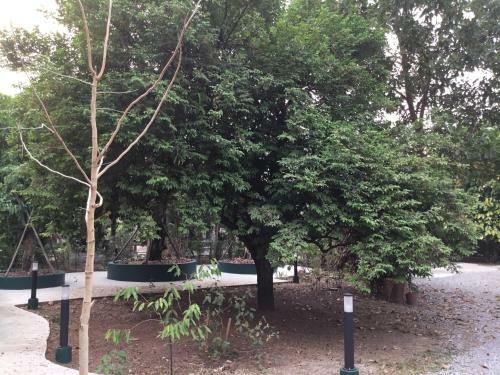 Homeandhomestay Chiang Kham
