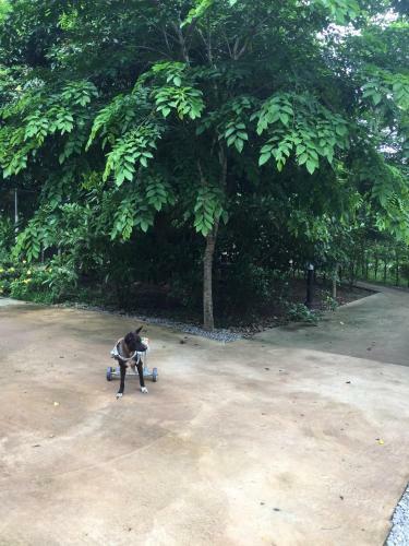 Homeandhomestay Chiang Kham