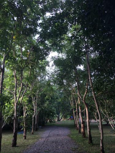 Homeandhomestay Chiang Kham