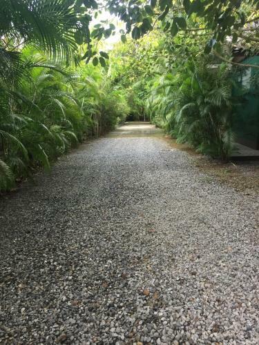 Homeandhomestay Chiang Kham