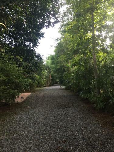 Homeandhomestay Chiang Kham