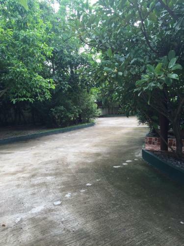 Homeandhomestay Chiang Kham