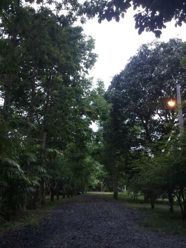 Homeandhomestay Chiang Kham