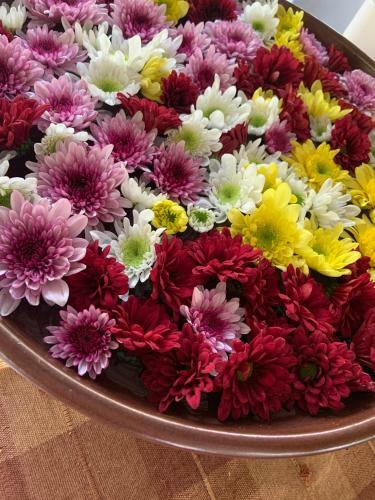 Homeandhomestay Chiang Kham