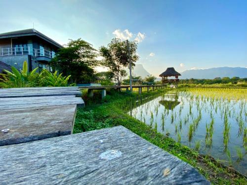Baan Porhdoi Goidao