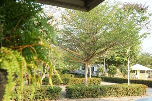 Hotel New Samedngam Resort