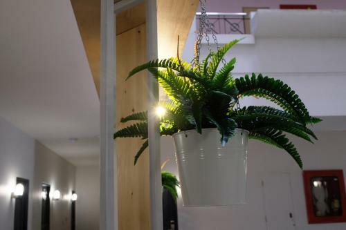 Albergue Siam Mansion - Sha