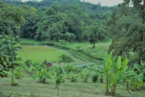 Villa Ing Chan Farm /????????????