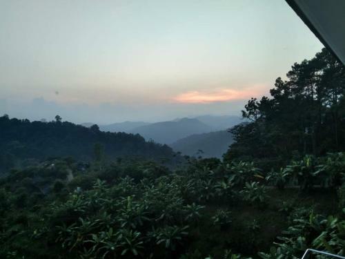 Doi Tung Anisa Homestay