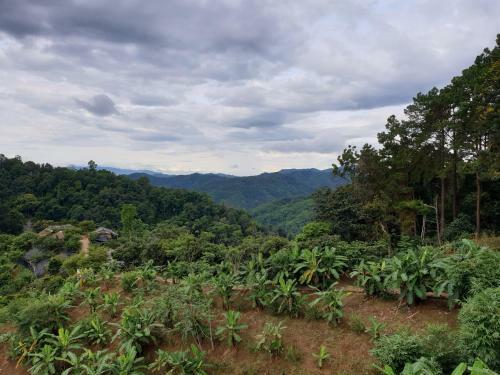 Doi Tung Anisa Homestay