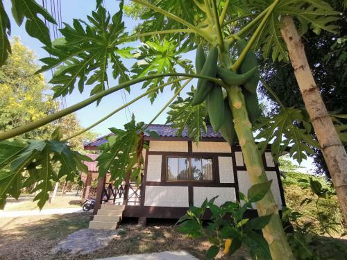 Hotel Rs Phong Riverside Resort