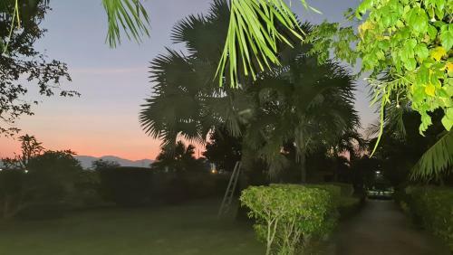 Welcome To Our Little Oasis