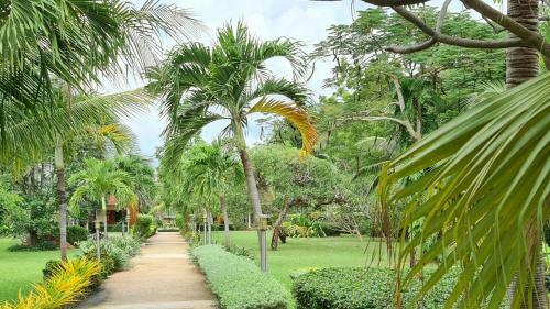 Welcome To Our Little Oasis