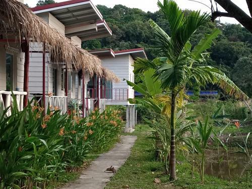 Hostal Lanta Dareen Garden Home