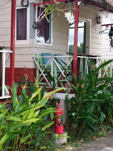 Hostal Lanta Dareen Garden Home