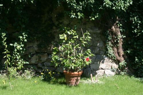 Bed & Breakfast G�stehaus Egger