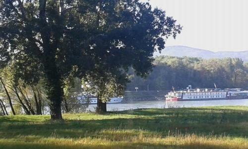 Bed & Breakfast G�stehaus Egger