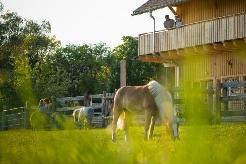 Agroturismo Bauer & Wirt Langthaler