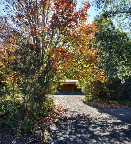Milton Country Cottages