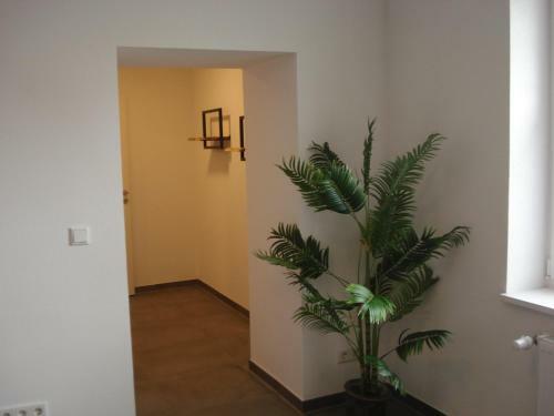 Fritz Apartments