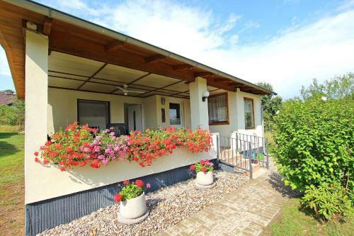 Ferienhaus Kratzeburg See 10231