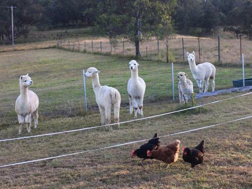 Apartamento Rural Ambience With Netflix