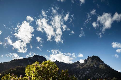Agroturismo Wiesenh�usl