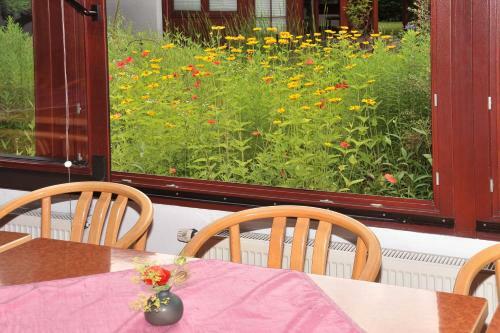 Hostal Pension Willischza