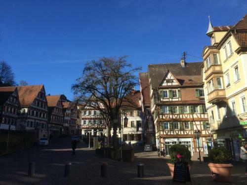 Apartamento Monteur-unterkunft Ferienwohnungen Calwer H�fle