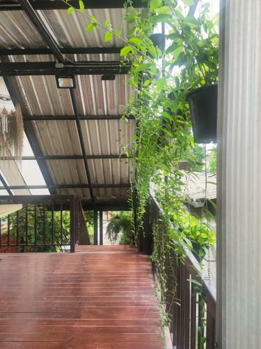 Albergue Nai Wiang Poshtel