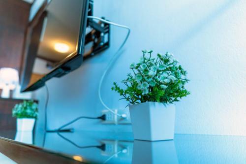 Apartamento Armo Nimman