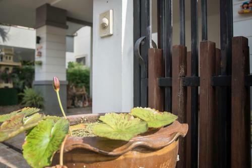 Thakorn Homestay
