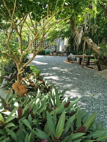 Hotel Baba Pim Villa
