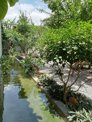 Hotel Baba Pim Villa