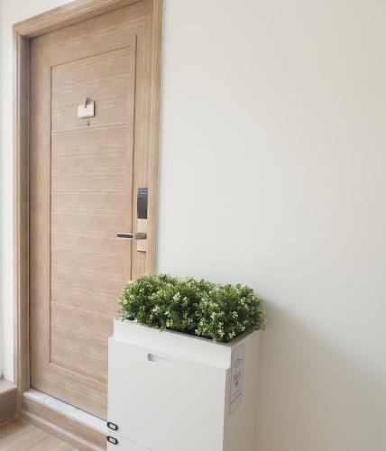 Albergue Nornnuea @ Inthanon