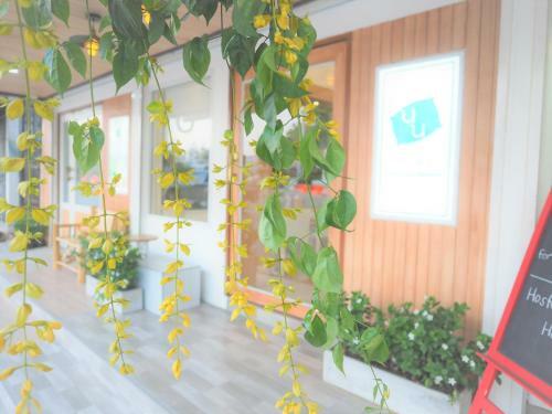 Albergue Nornnuea @ Inthanon