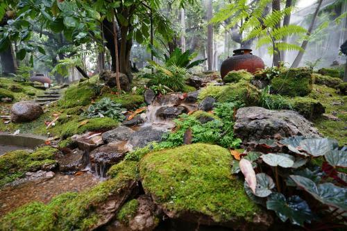 Hotel Tree Scape Retreat Resort